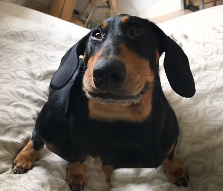 panorama fails