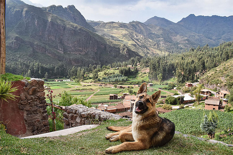 beautiful scenery