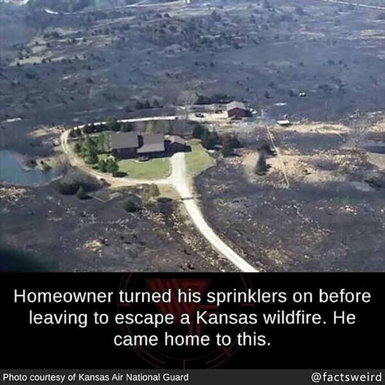 weird facts