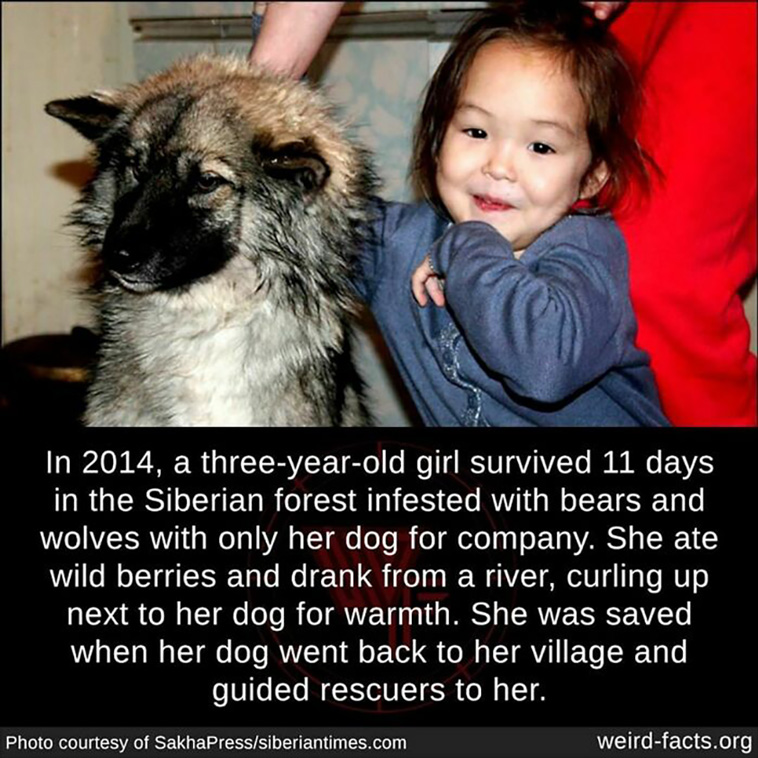 weird facts