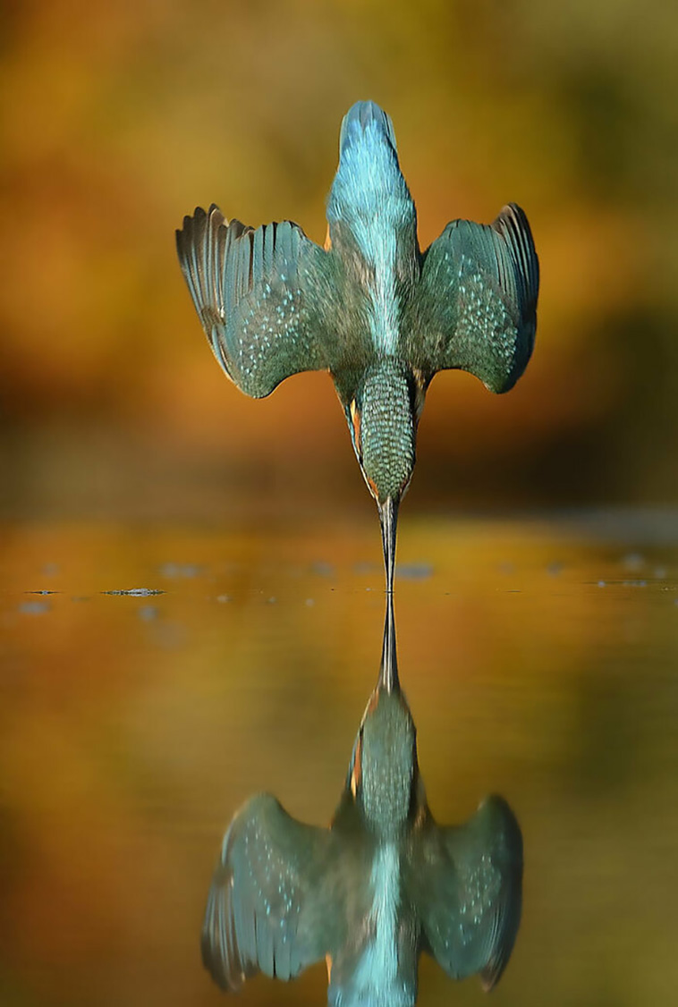 be amazed