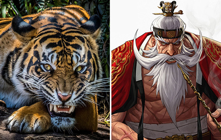 animals