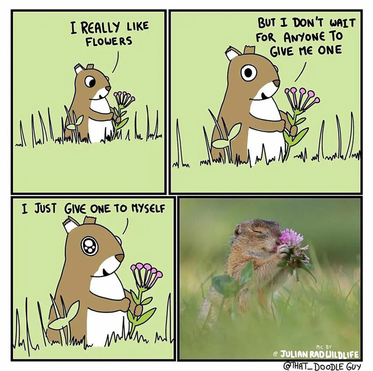 animal comics