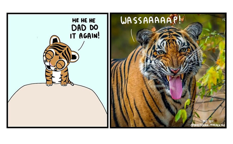 animal comics