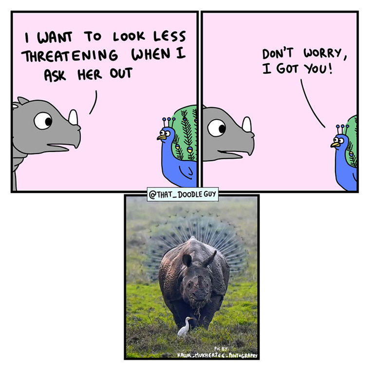 animal comics
