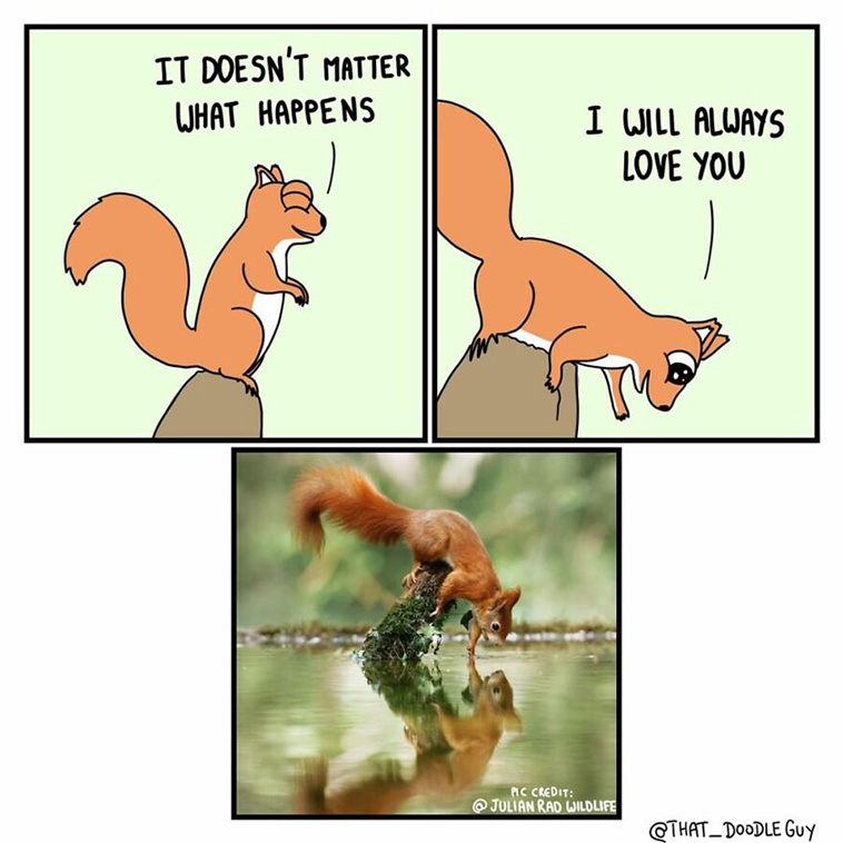 animal comics