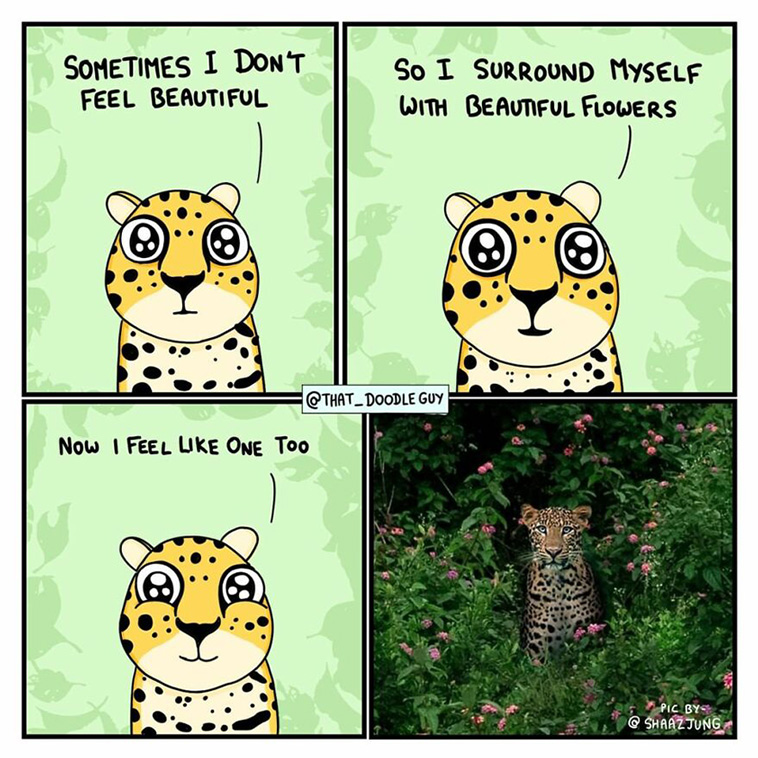 animal comics