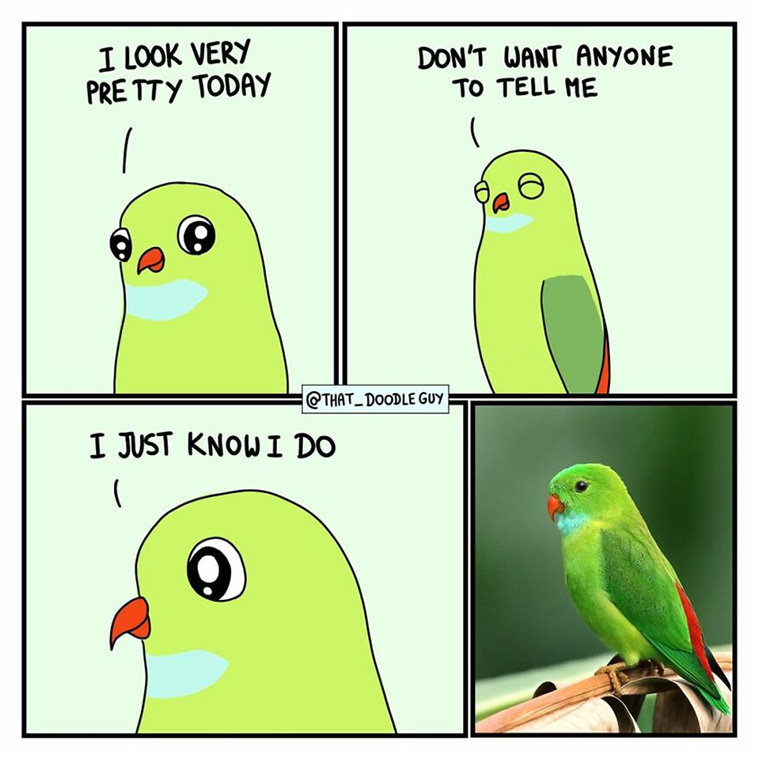 animal comics
