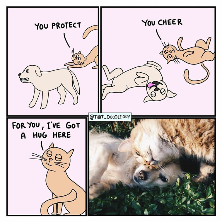 animal comics