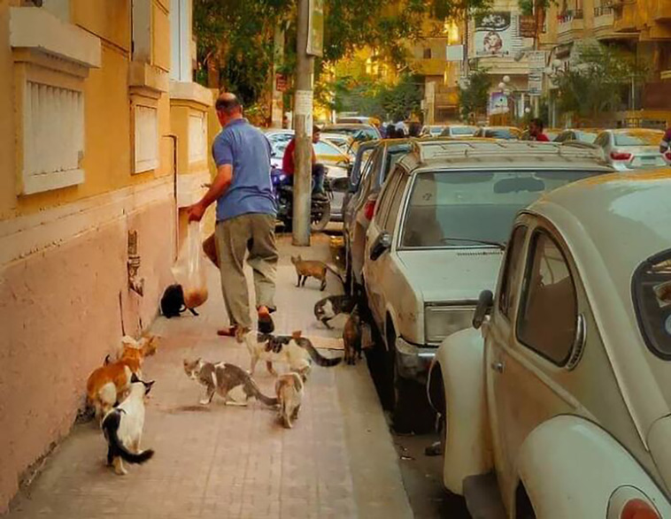 egypt