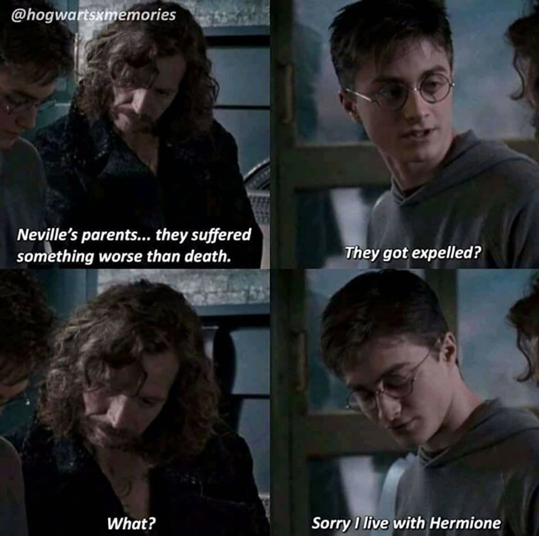 harry potter