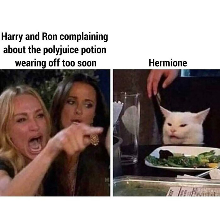 harry potter