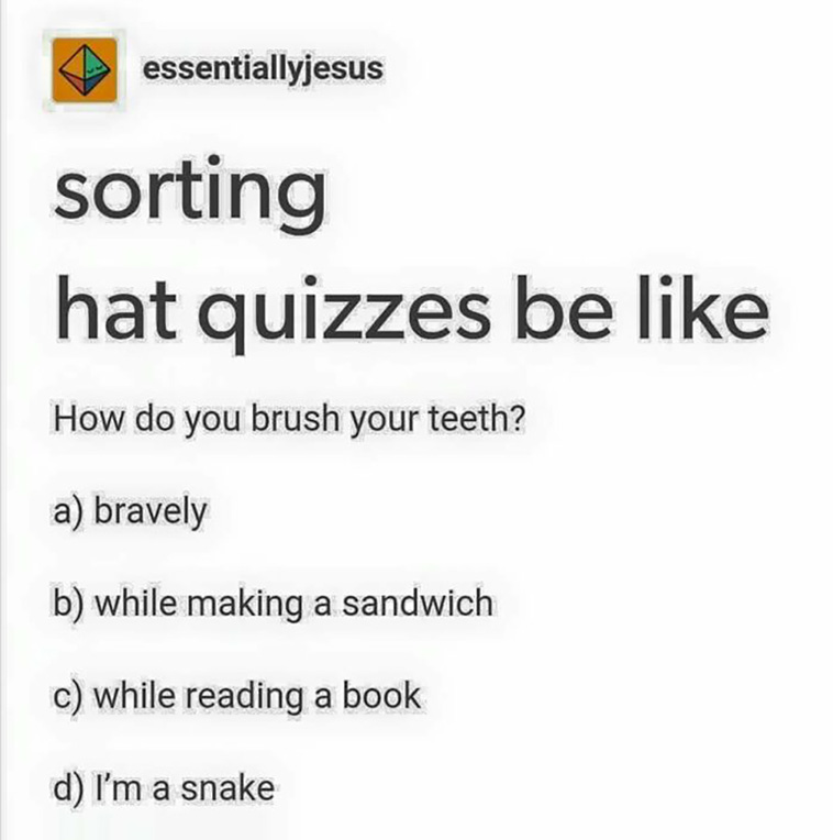 harry potter