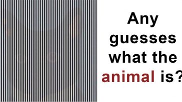 mind-boggling optical illusion