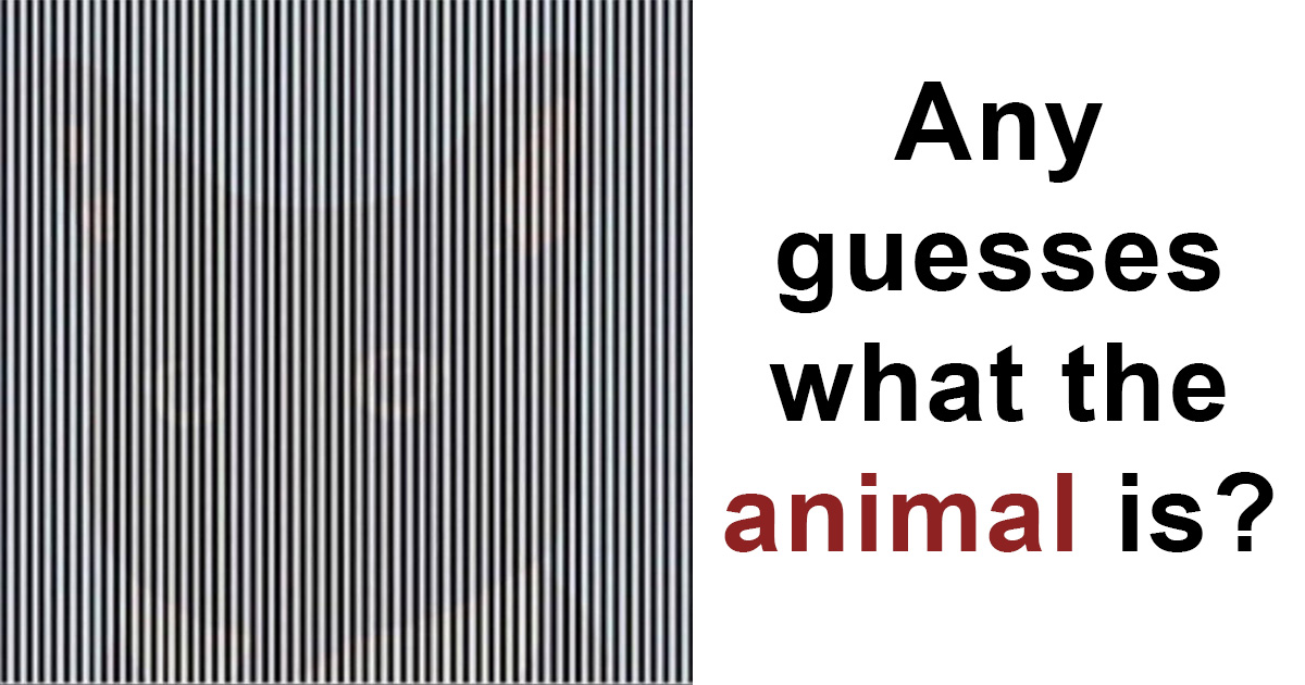 mind-boggling optical illusion