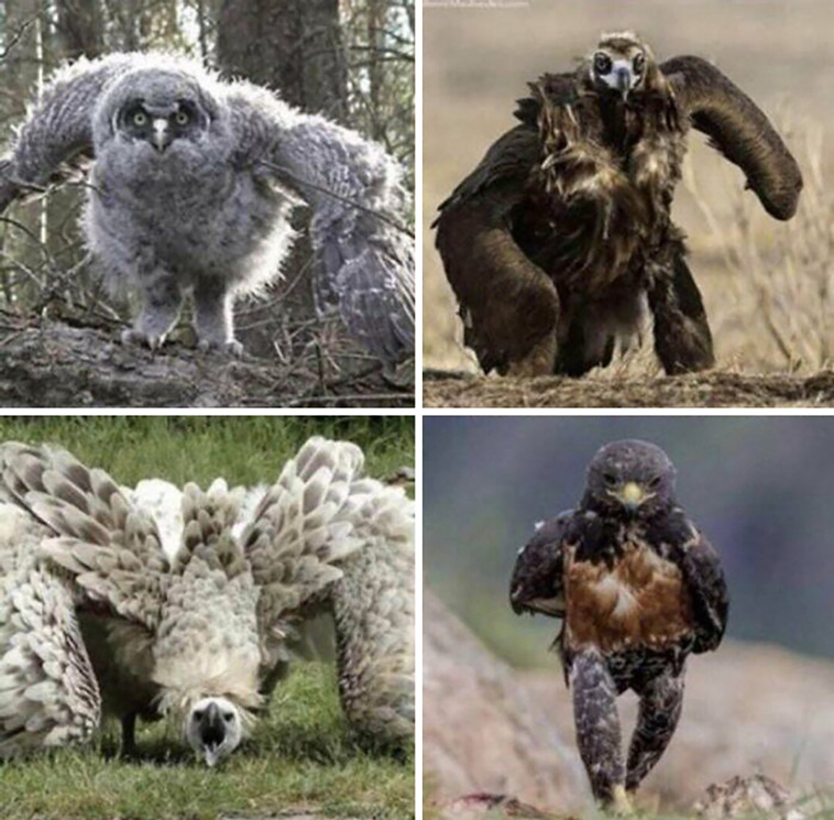 oddly terrifying