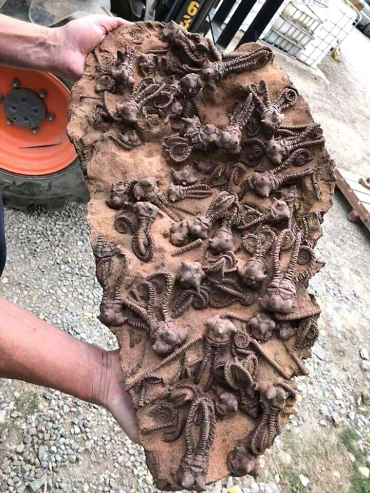 oddly terrifying