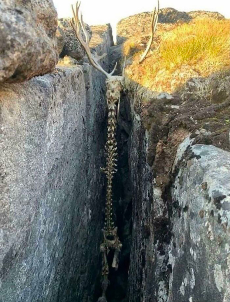 oddly terrifying