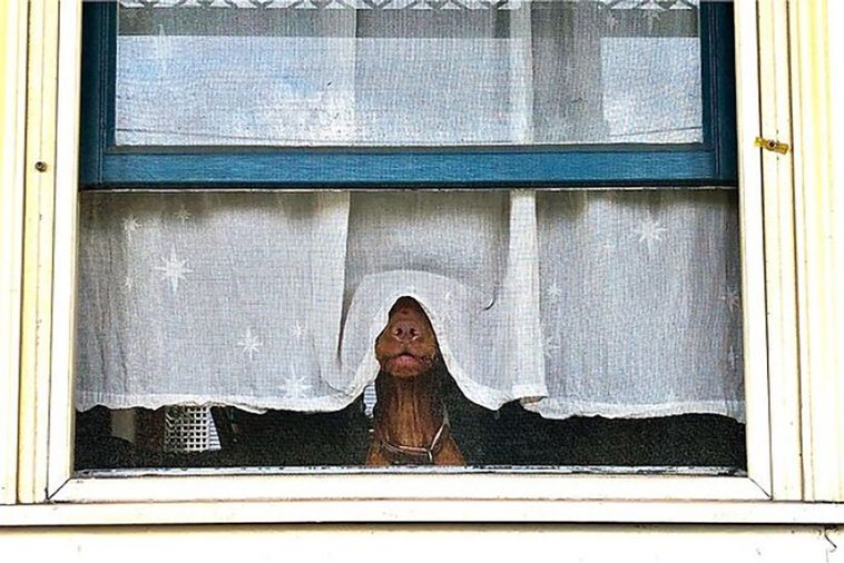 street photographs
