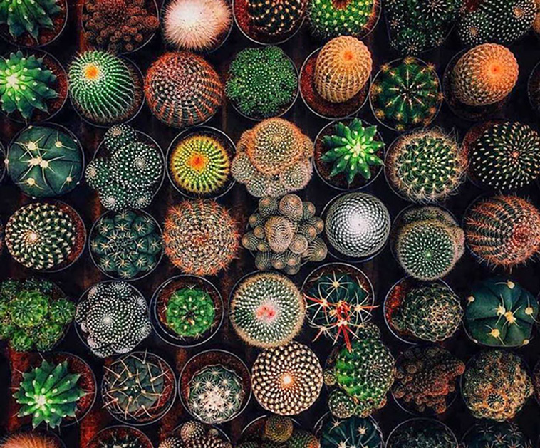 symmetry
