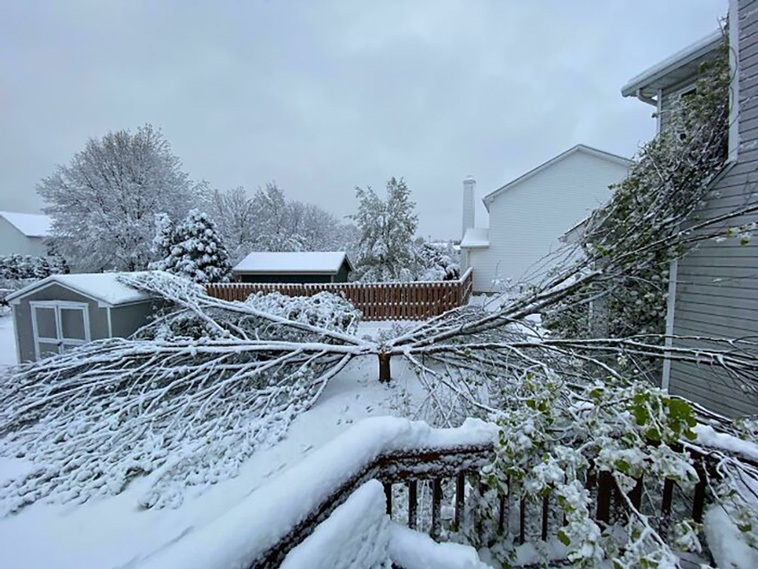 winter photos