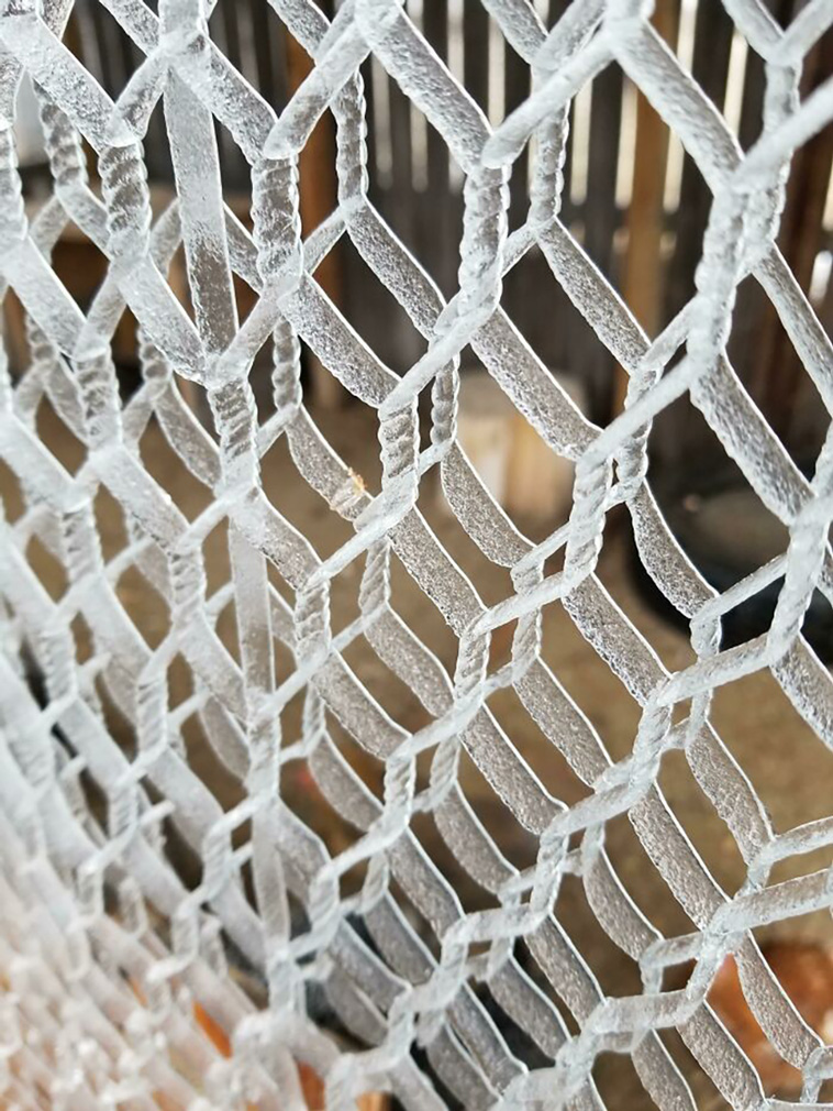 winter photos