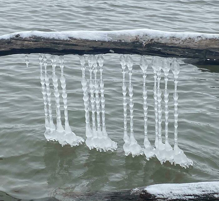 winter photos