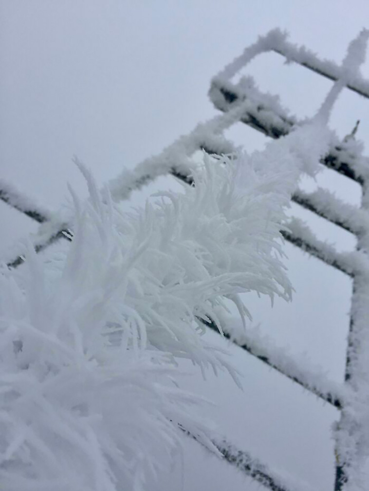 winter photos