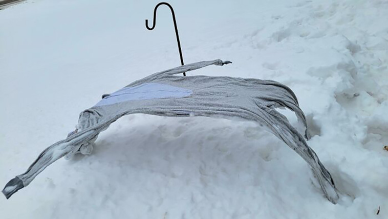 winter photos