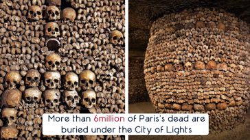 Paris Catacombs
