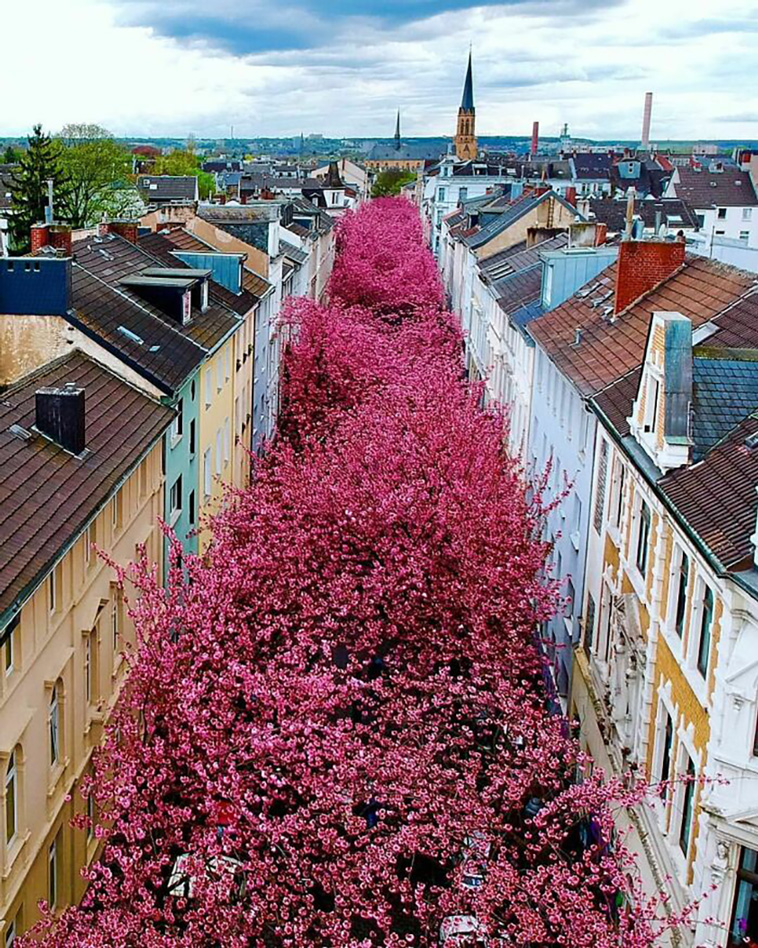 germany