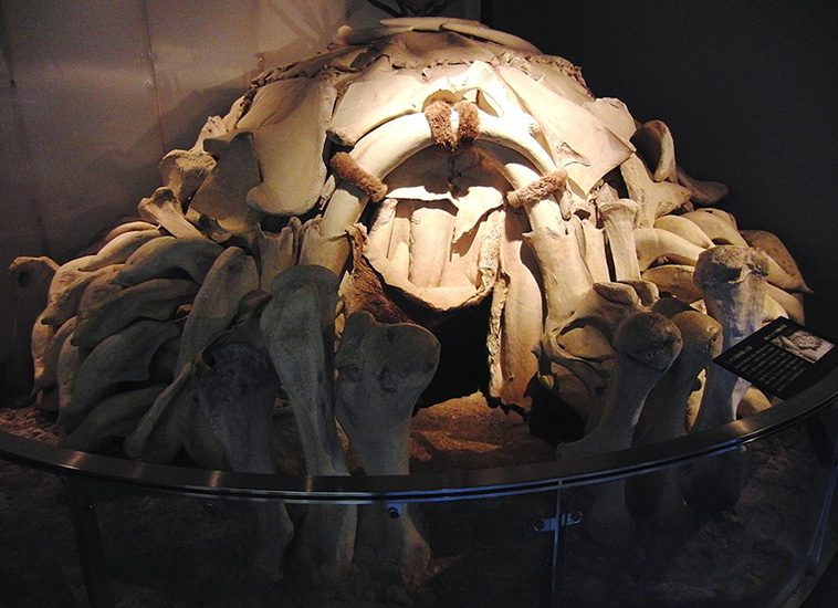 mammoth bone huts