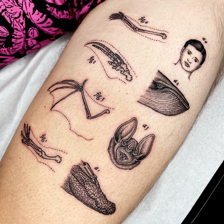 scientific tattoos