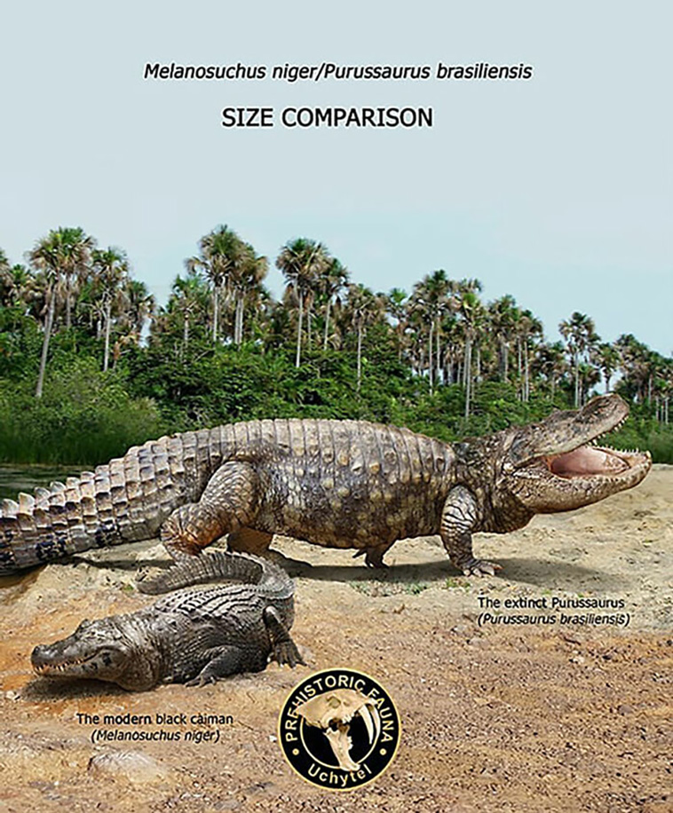 size comparisons