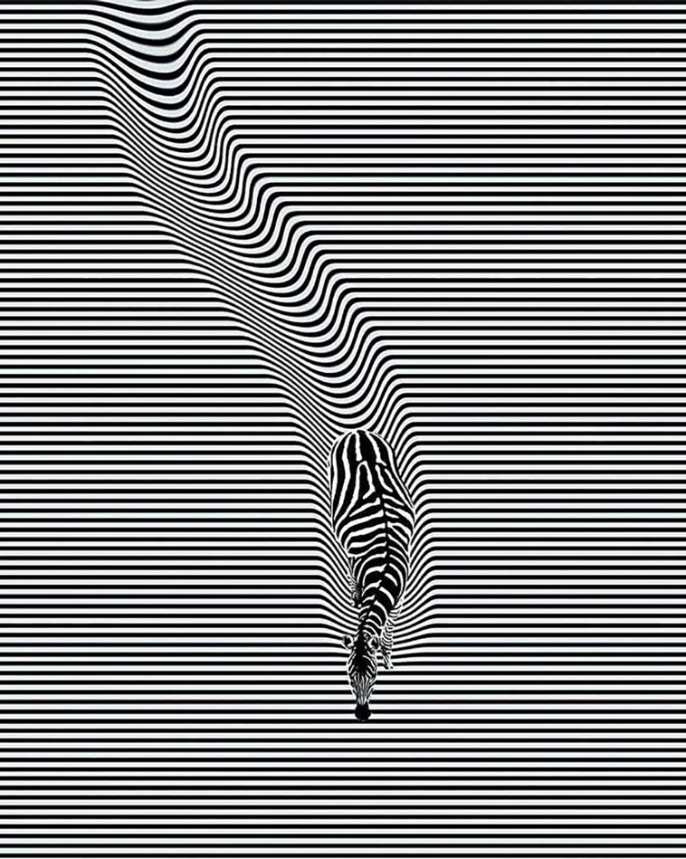 Design Therapy
