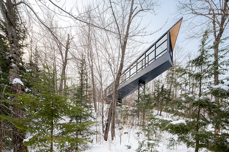 m.o.r.e cabin