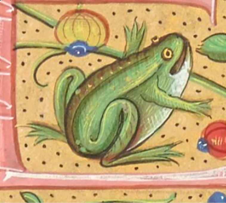 medieval drawings