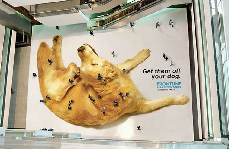 design ideas