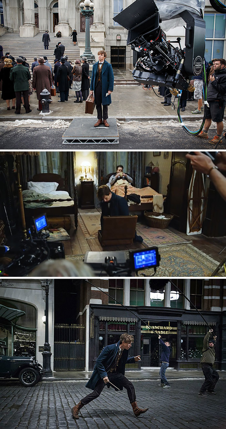 Fantastic Beasts And Where To Find Them