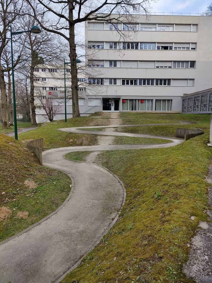desire paths