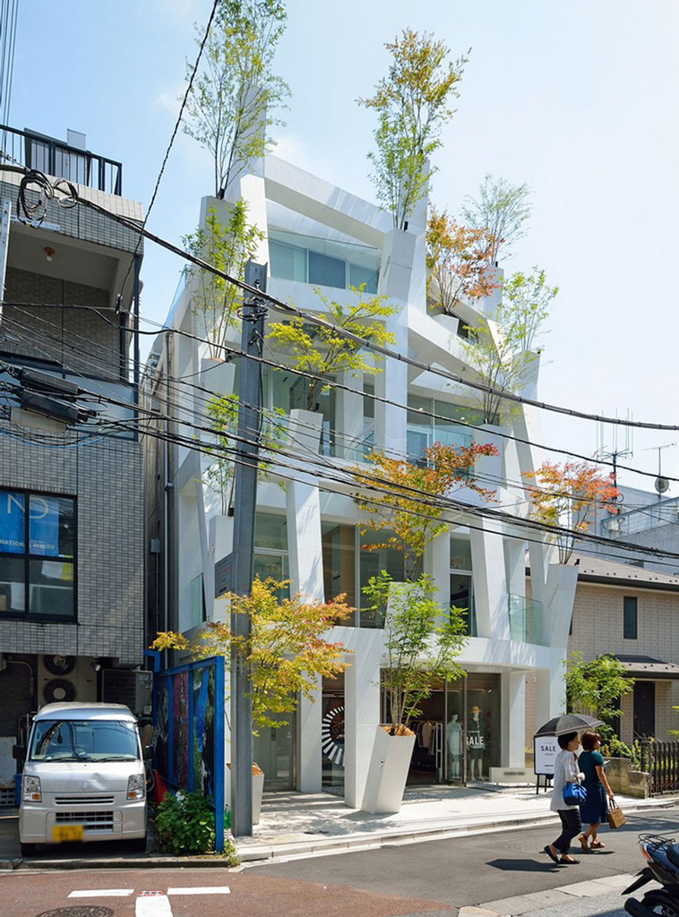 Omotesando Branches
