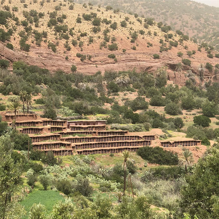 Apiary of Inzerki: World’s Largest Beehive Complex