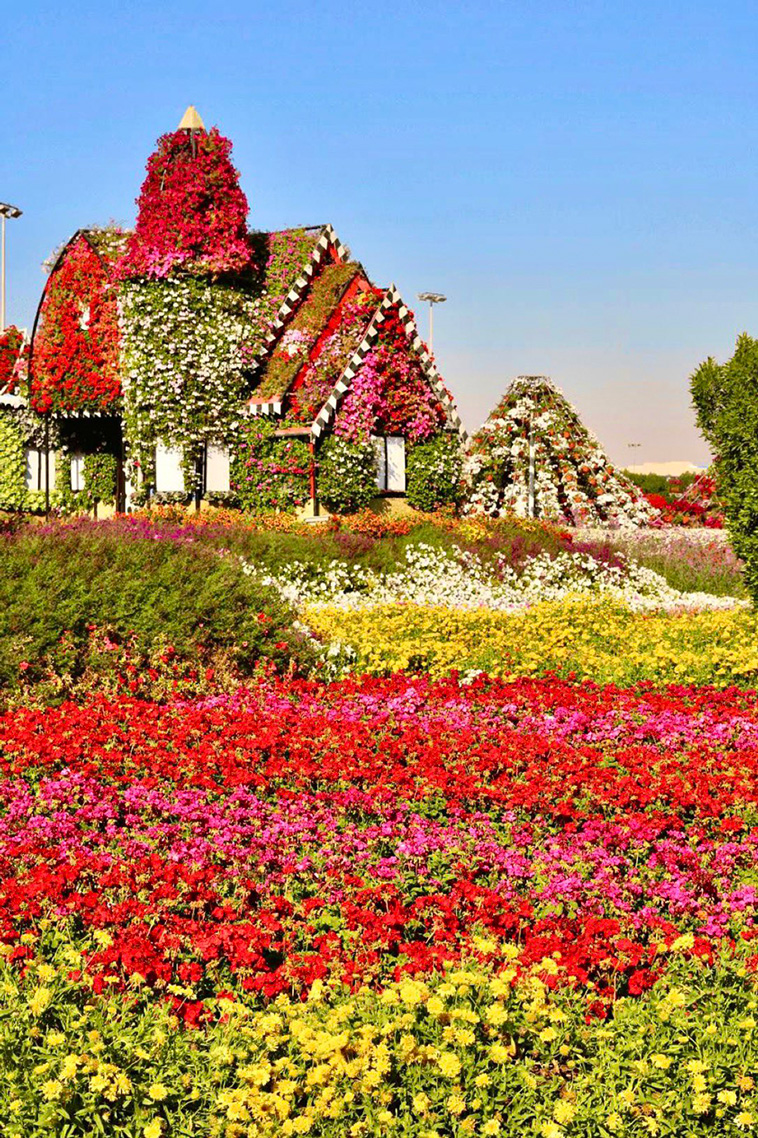 Miracle Gardens