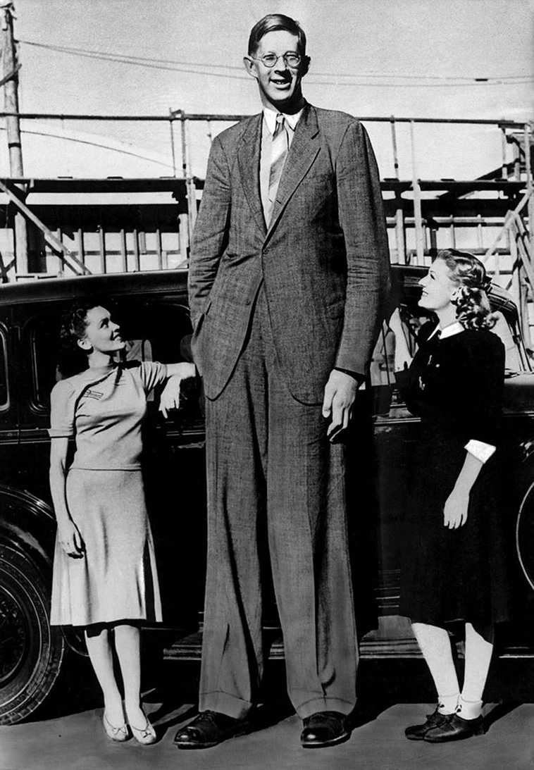 tallest person robert wadlow