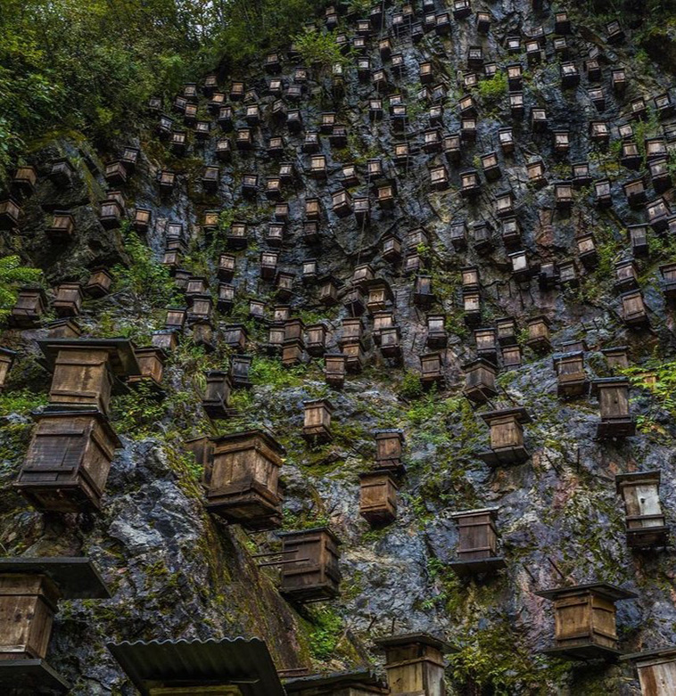 Shennongjia Guanmen Mountain: Beehives on Cliff