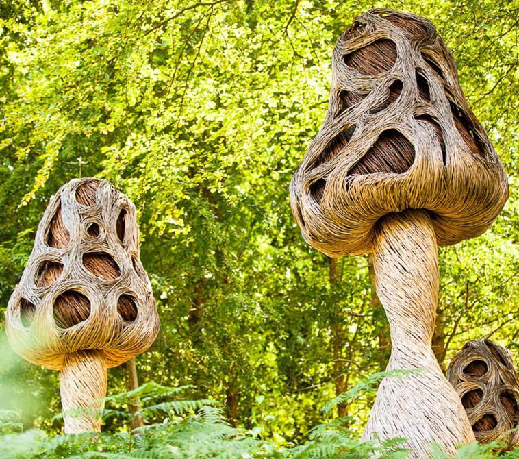Tom Hare mushrooms sculptures