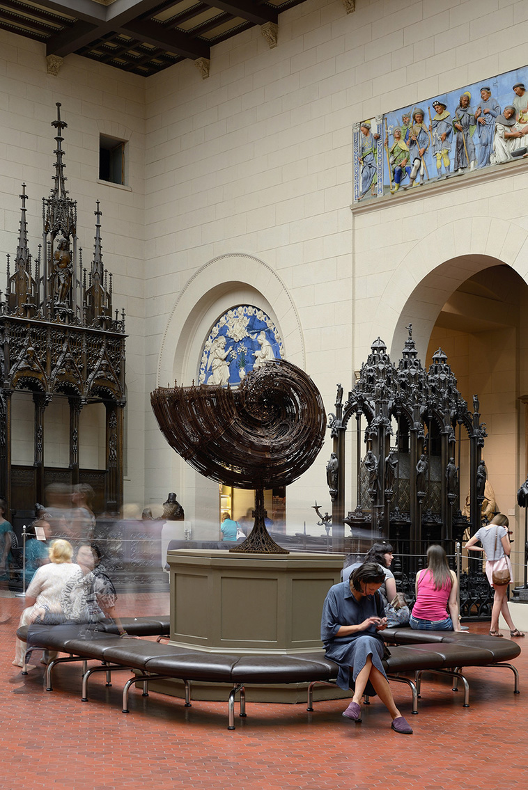 Nautilus in the Pushkin State Museum of Fine Arts, 2014, Moscow