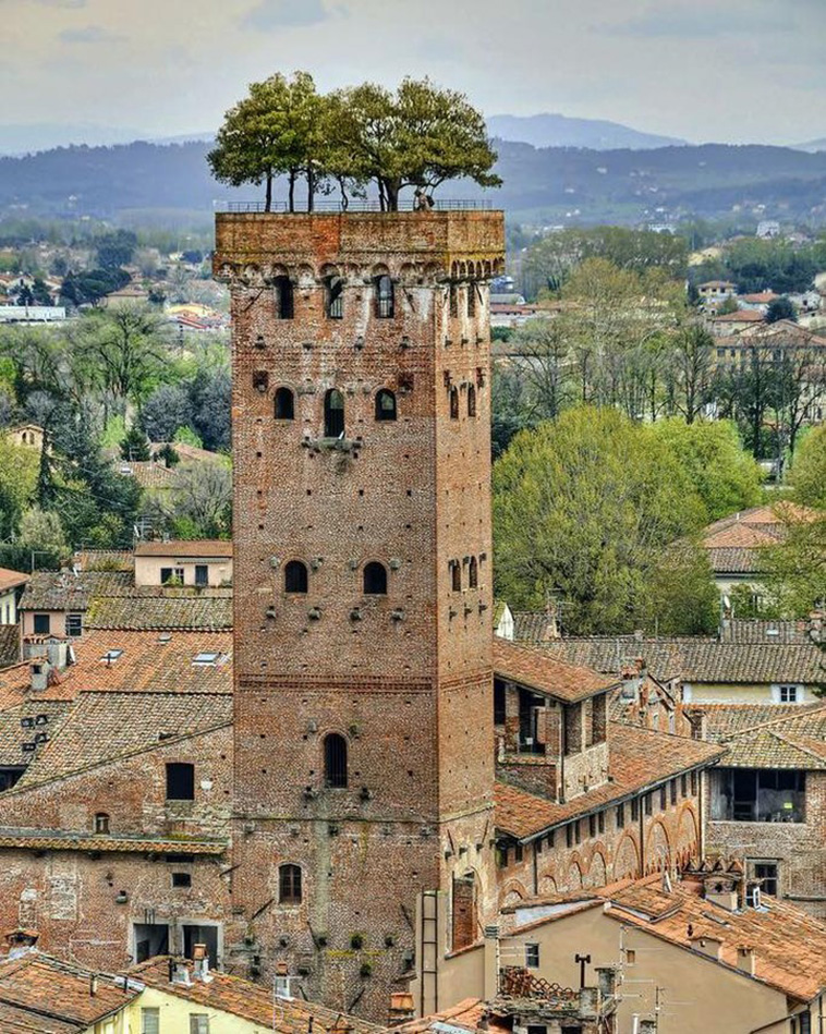 Medieval Towers: Guinigi Tower in Lucca, Italy