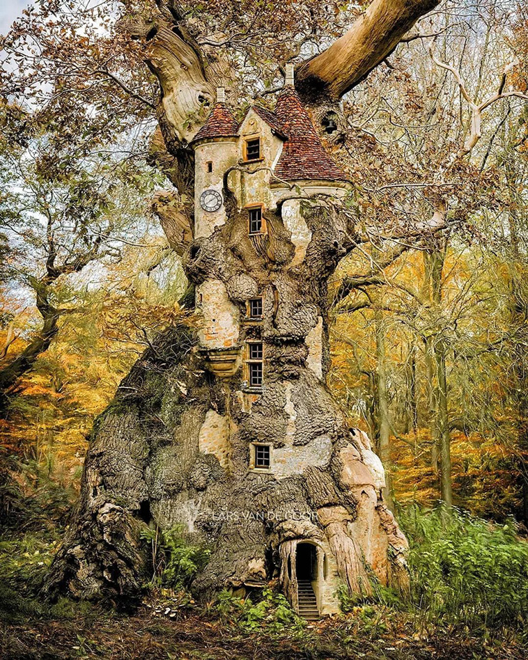 tree house art