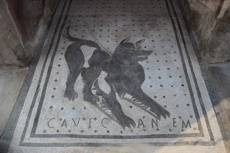 dog mosaic in the house of the tragic poet